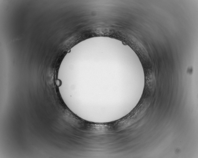 X0000103490233200810031612