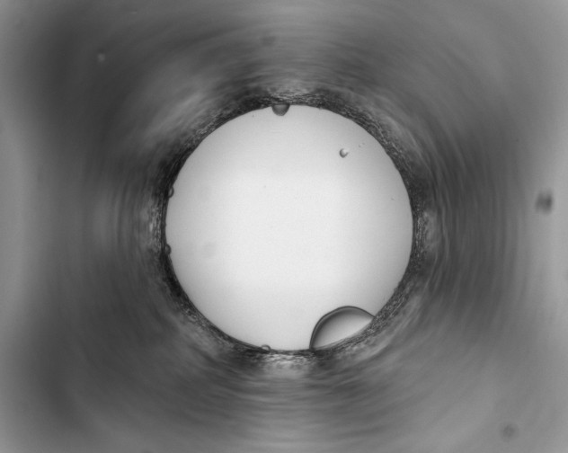 X0000103490234200810031612