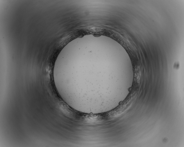 X0000103490235200810031612