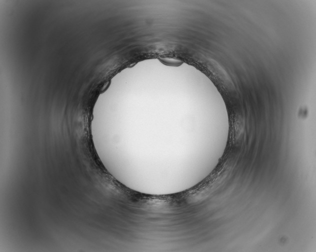 X0000103490236200810031612