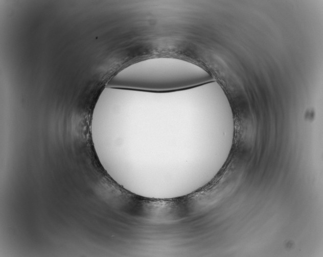 X0000103490237200810031612