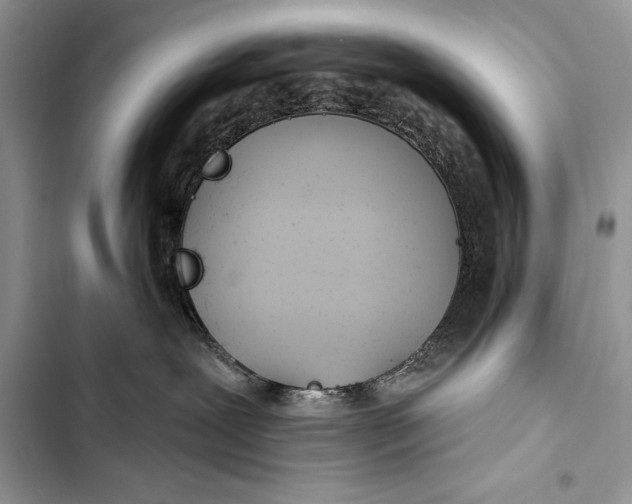 X0000103490239200810031612