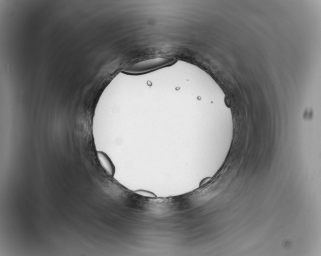 X0000103490240200810031612