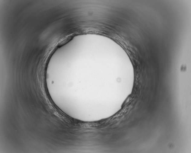 X0000103490241200810031611