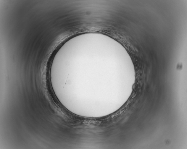 X0000103490242200810031611