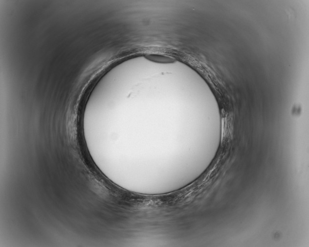 X0000103490243200810031612