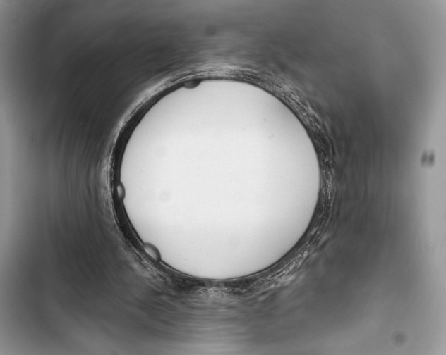 X0000103490244200810031612