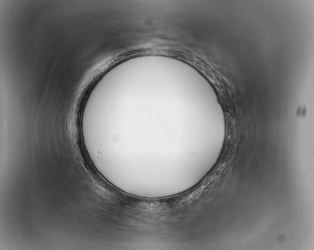 X0000103490245200810031612