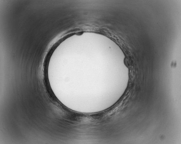 X0000103490246200810031612