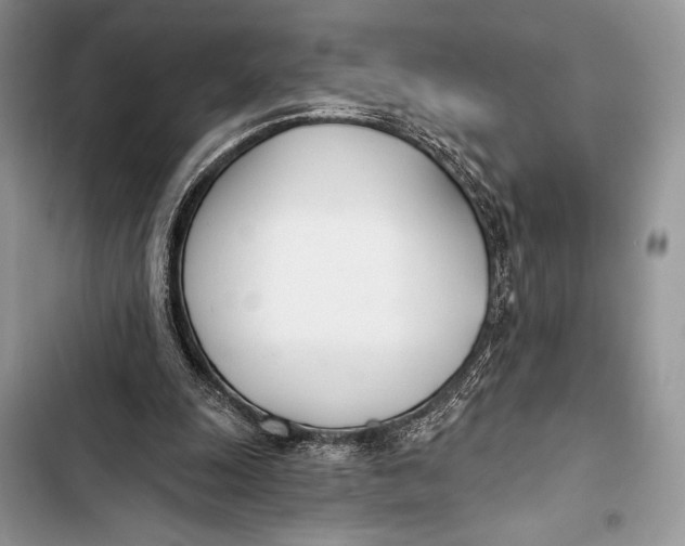 X0000103490247200810031612