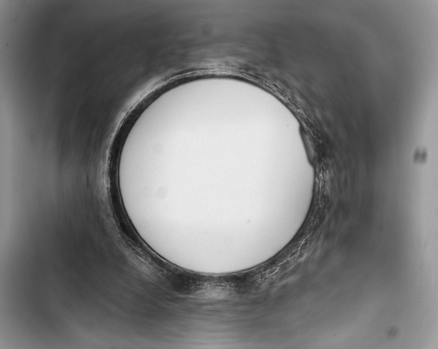 X0000103490248200810031612