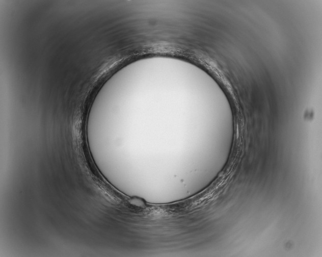 X0000103490249200810031612