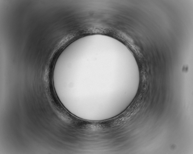 X0000103490250200810031612