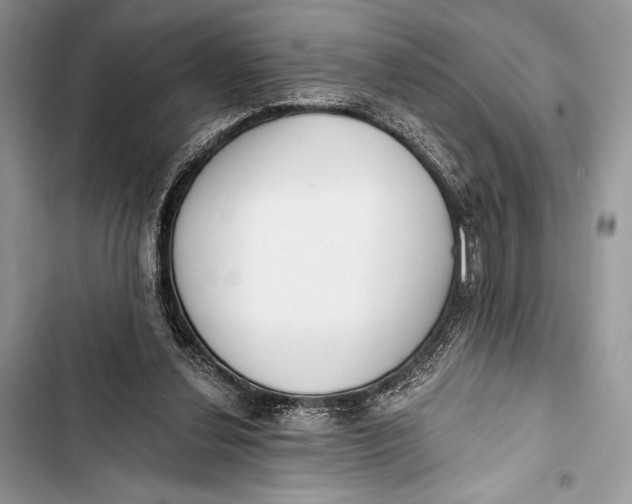 X0000103490252200810031612