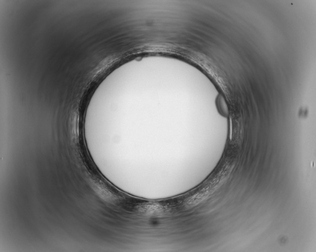 X0000103490253200810031612