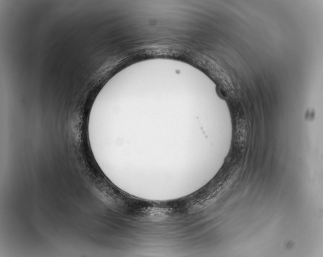 X0000103490255200810031612