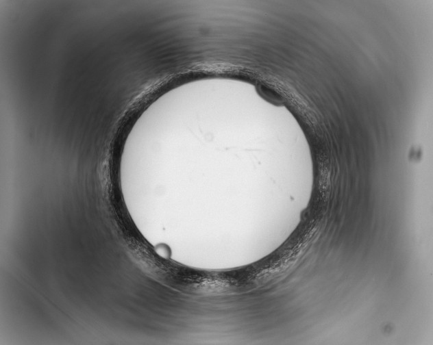 X0000103490256200810031612