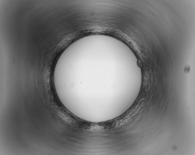 X0000103490257200810031612