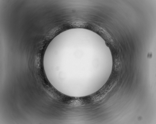 X0000103490259200810031612