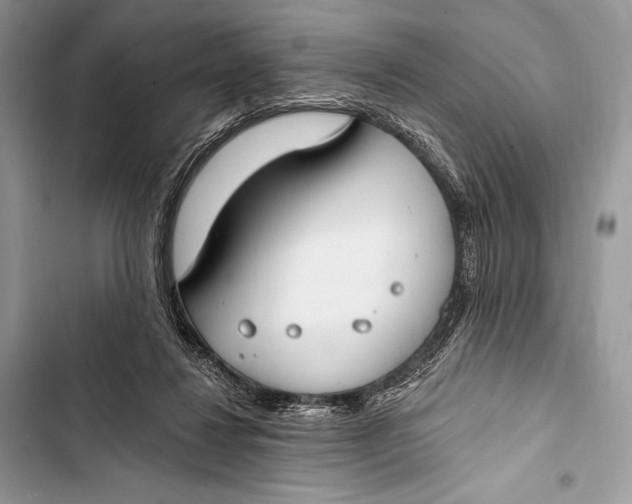 X0000103490260200810031612