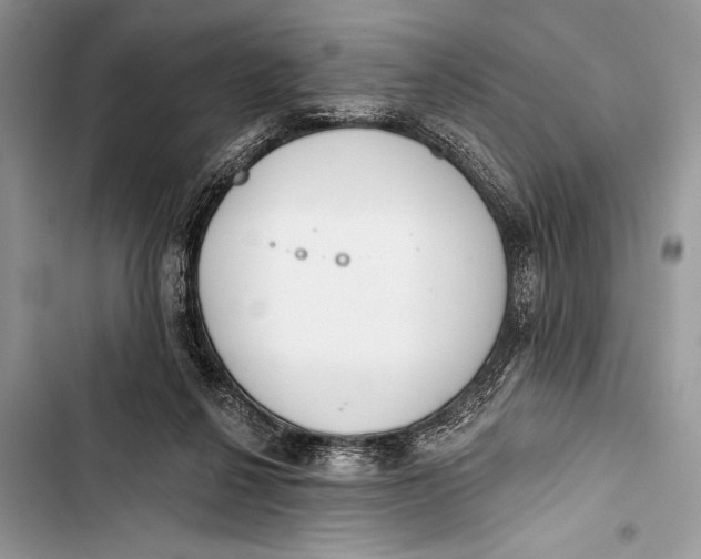 X0000103490264200810031612