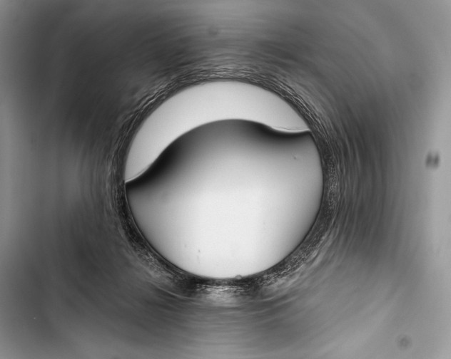 X0000103490268200810031612