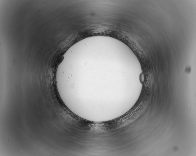 X0000103490273200810031612