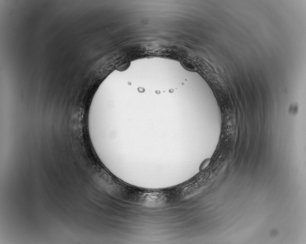 X0000103490275200810031612