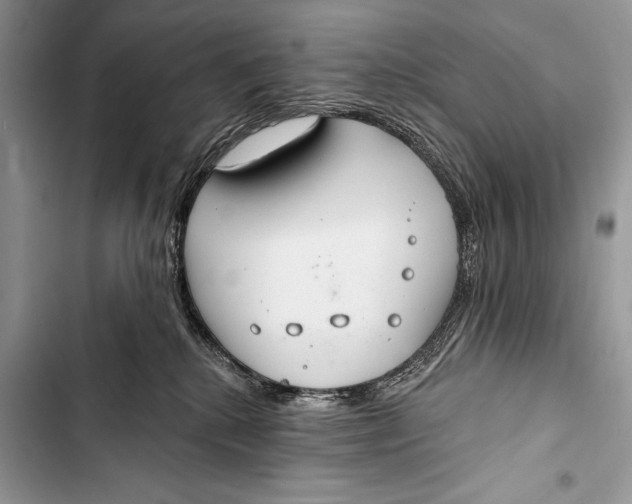 X0000103490280200810031612