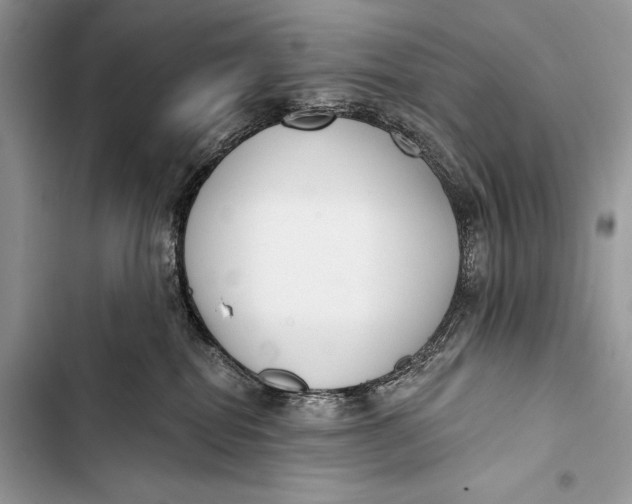 X0000103490282200810031612