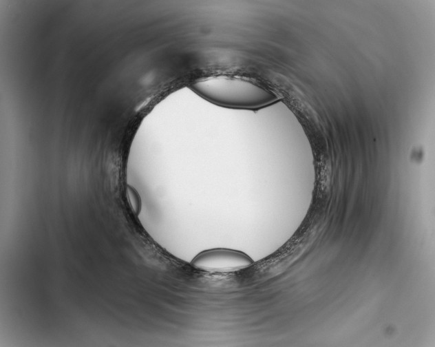 X0000103490283200810031612