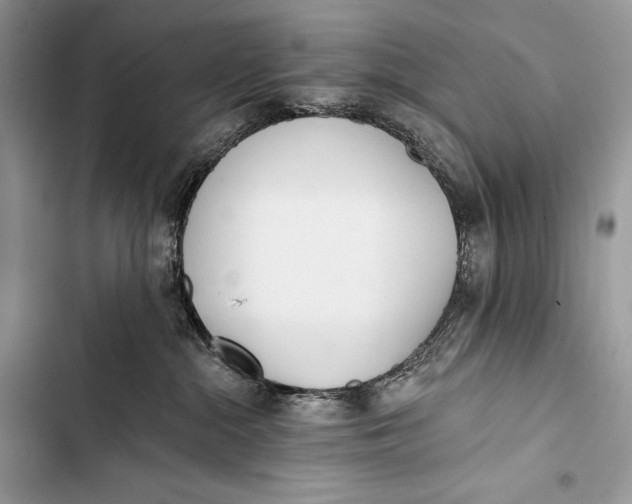 X0000103490284200810031612