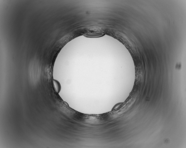 X0000103490285200810031612