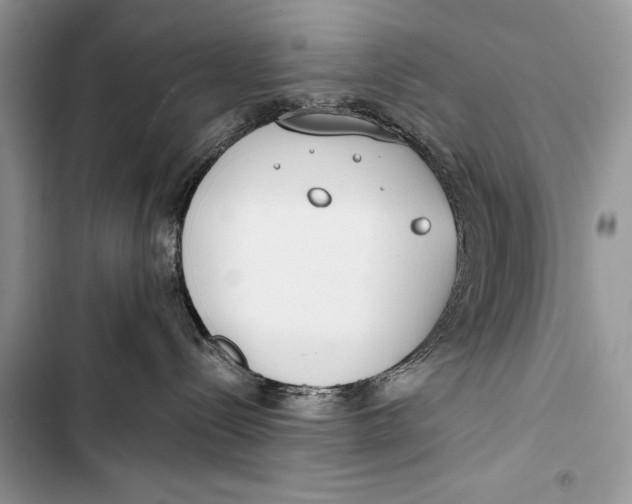 X0000103490288200810031612