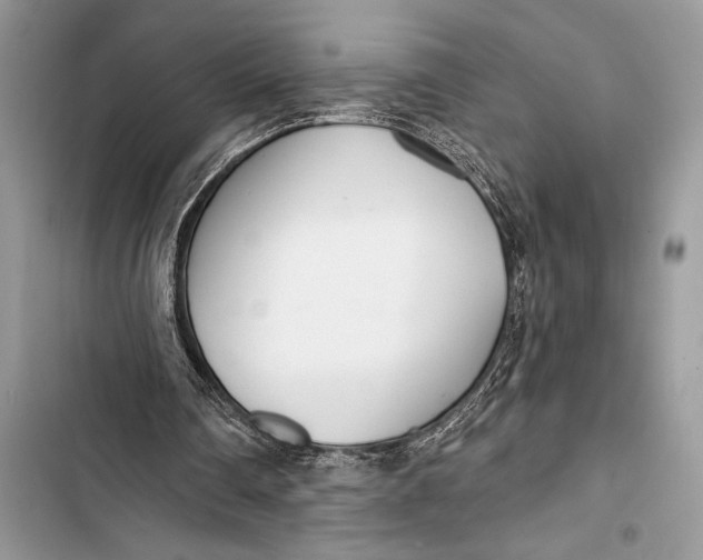 X0000103490290200810031611