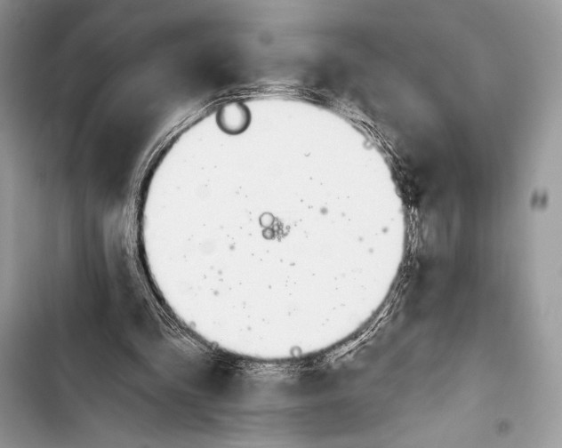 X0000103490293200810031611