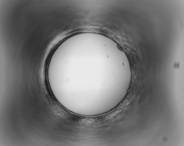 X0000103490294200810031611