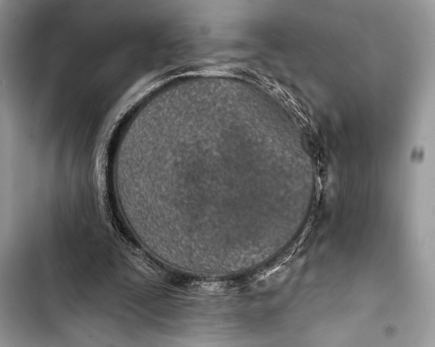 X0000103490295200810031611