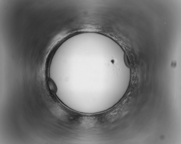 X0000103490296200810031611