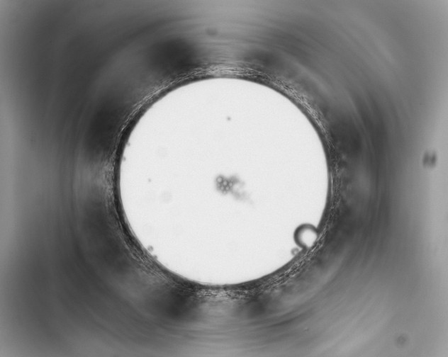 X0000103490297200810031611