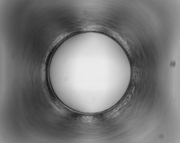 X0000103490298200810031611