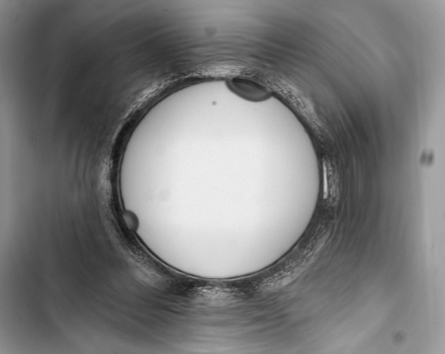 X0000103490300200810031611