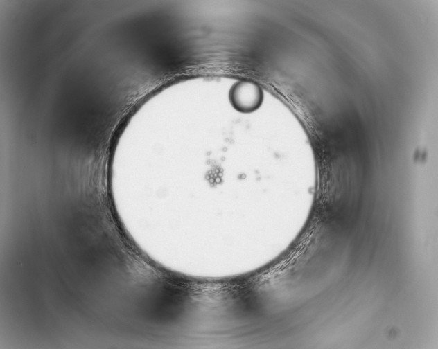 X0000103490301200810031611