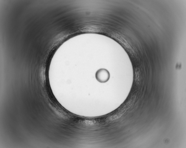 X0000103490302200810031611