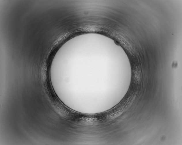 X0000103490304200810031611