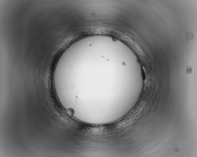 X0000103490306200810031611