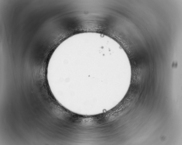 X0000103490309200810031611