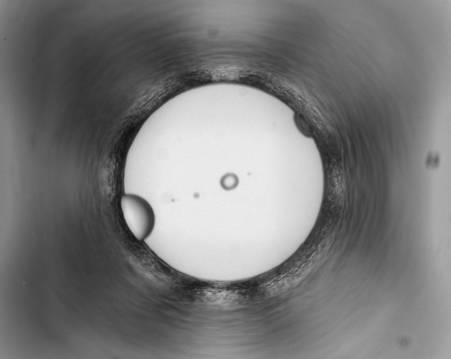 X0000103490311200810031611