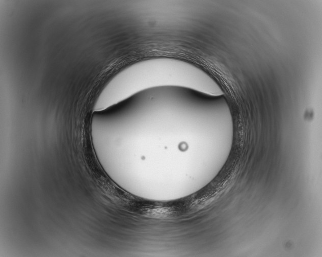 X0000103490312200810031611