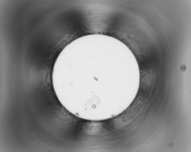 X0000103490313200810031611